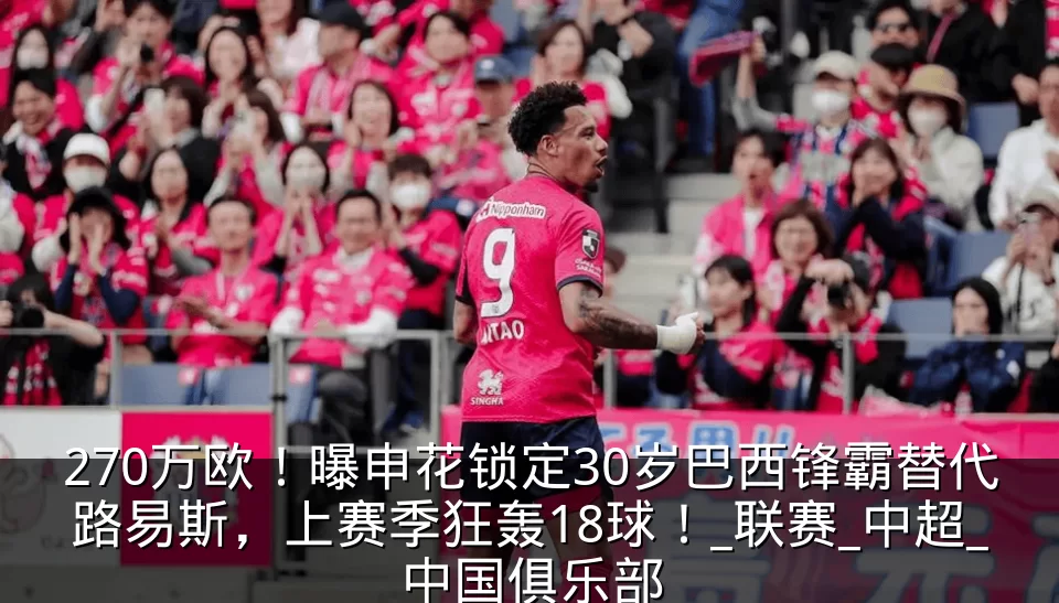 270万欧!曝申花锁定30岁巴西锋霸替代路易斯,上赛季狂轰18球!_联赛_中超_中国俱乐部