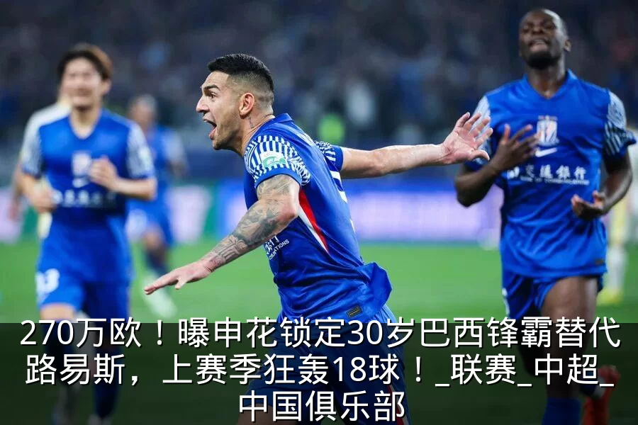 270万欧!曝申花锁定30岁巴西锋霸替代路易斯,上赛季狂轰18球!_联赛_中超_中国俱乐部